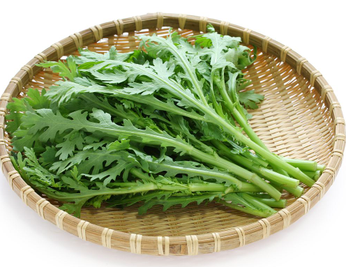 茼蒿、山茼蒿怎么区分？