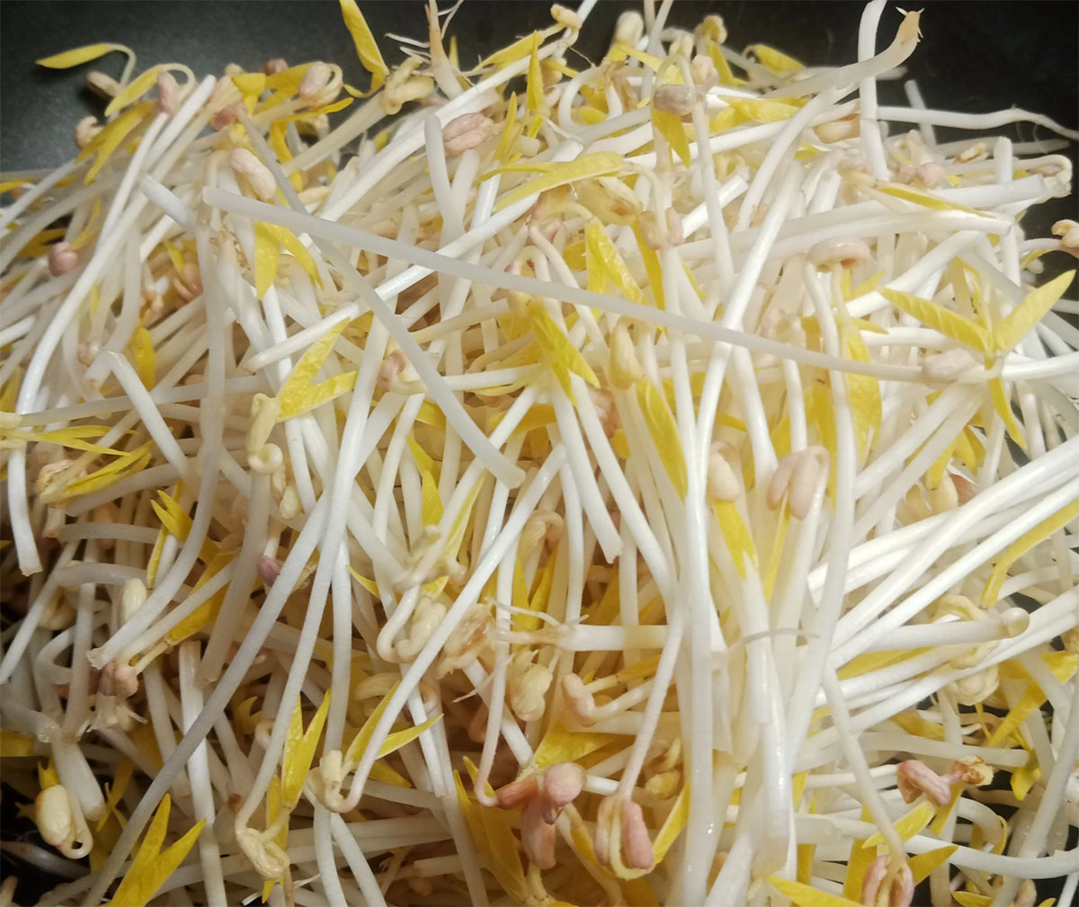 食堂食材