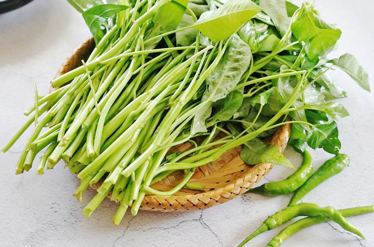 食材推荐