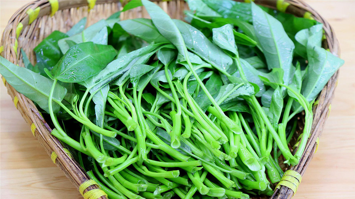 食材推荐