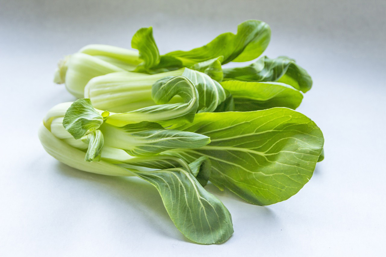 食材资讯