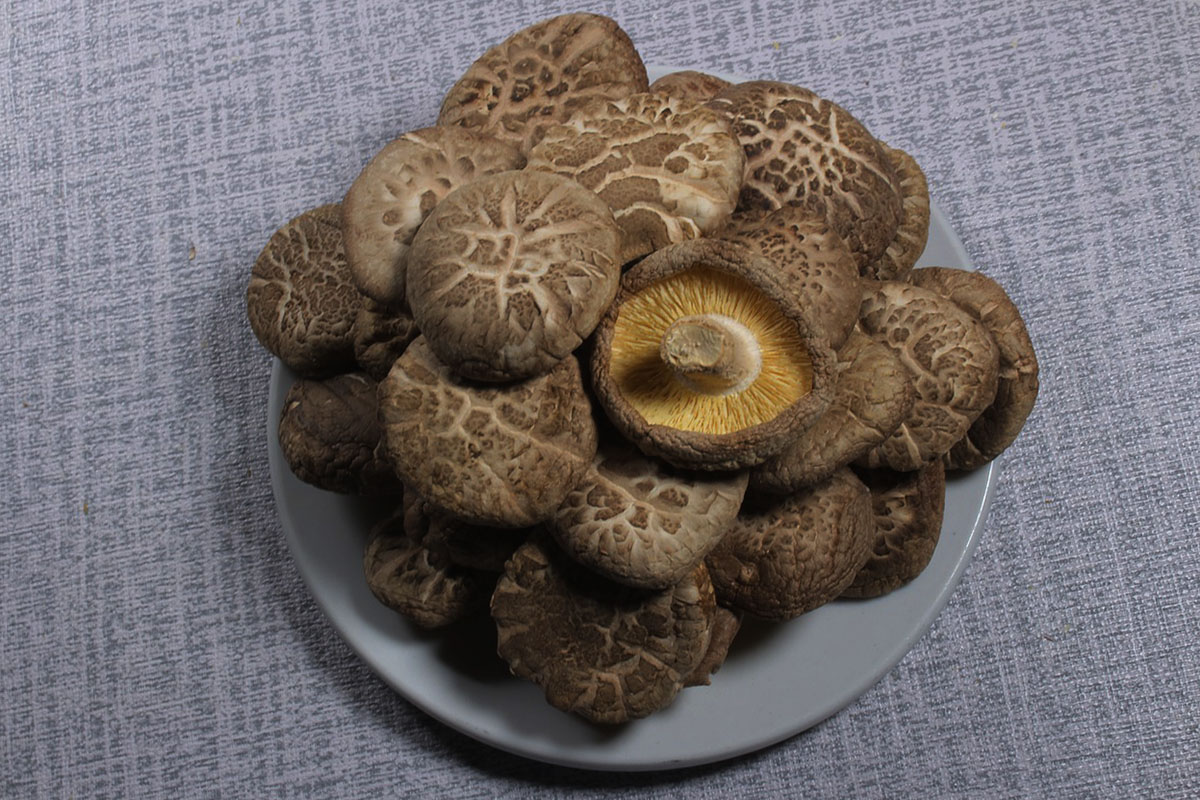 食材资讯