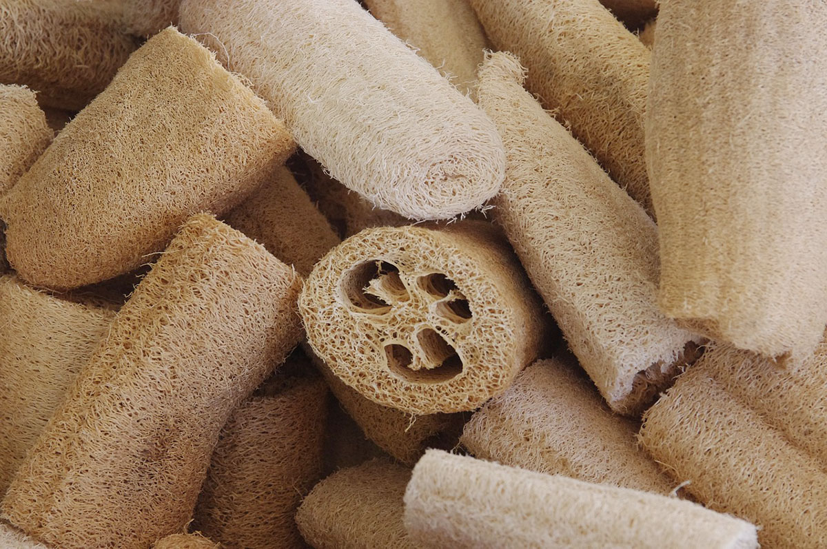 食材资讯